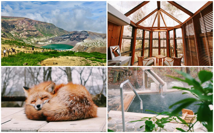 Zao Fox Village