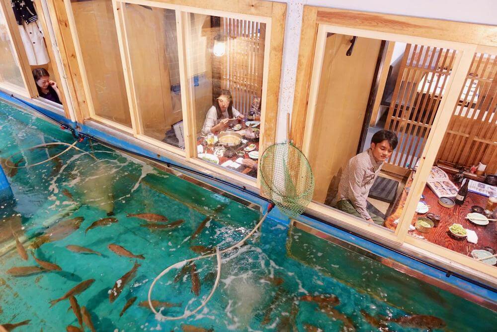 Zauo. Fish Your Dinner
