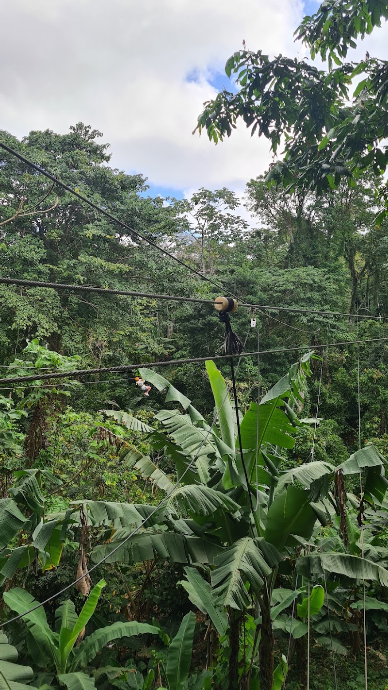 Zip-Line Canopy Tour