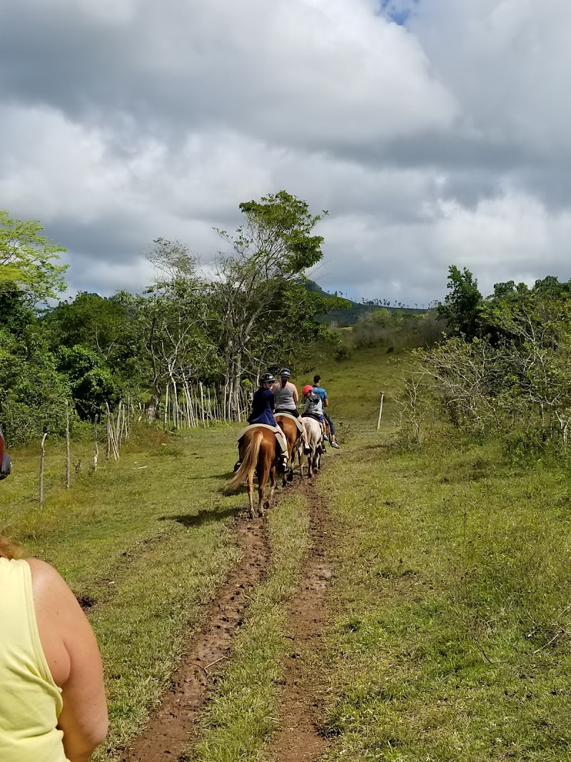 Zip-Line Canopy Tour