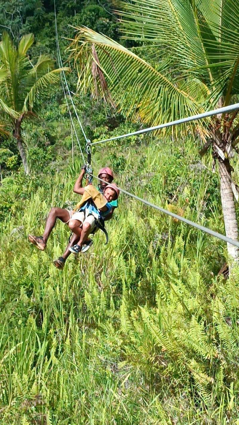 Zip-Line Over the Jungle