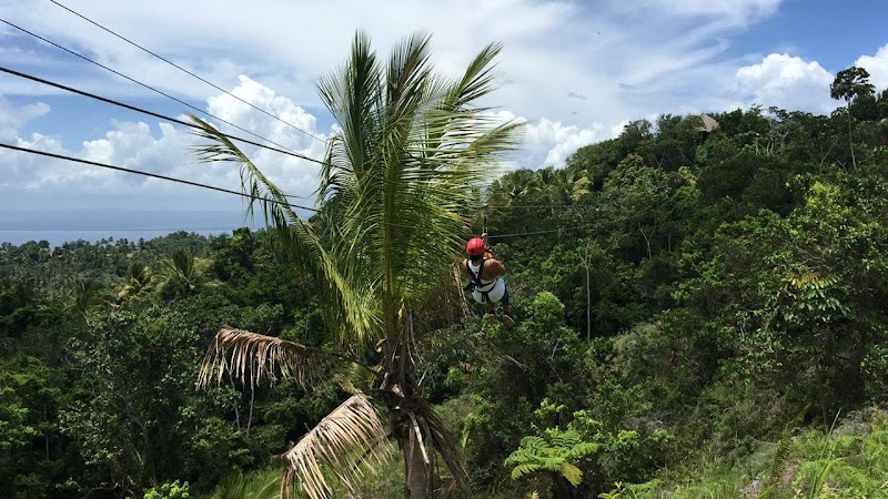 Zip-Line Over the Jungle