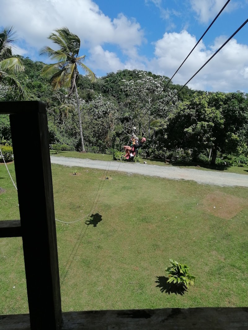 Zip-Line Over the Jungle