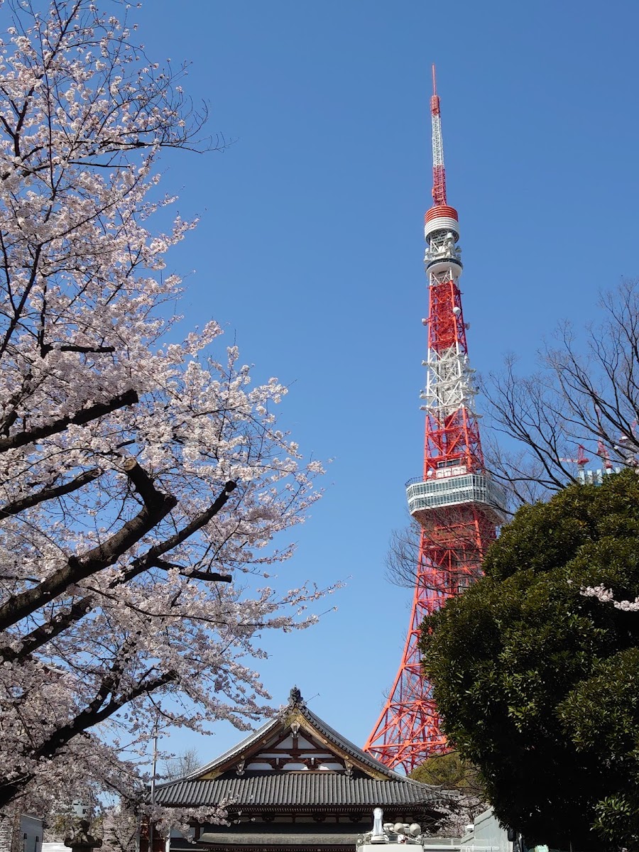 Zojoji Temple