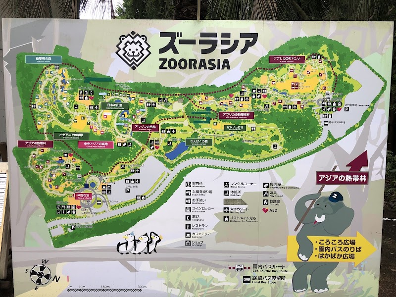 Zoorasia