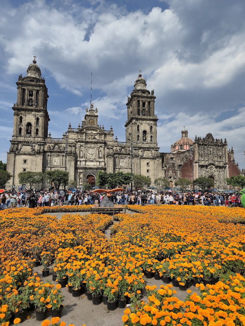 Zócalo (Plaza de la Constitución)