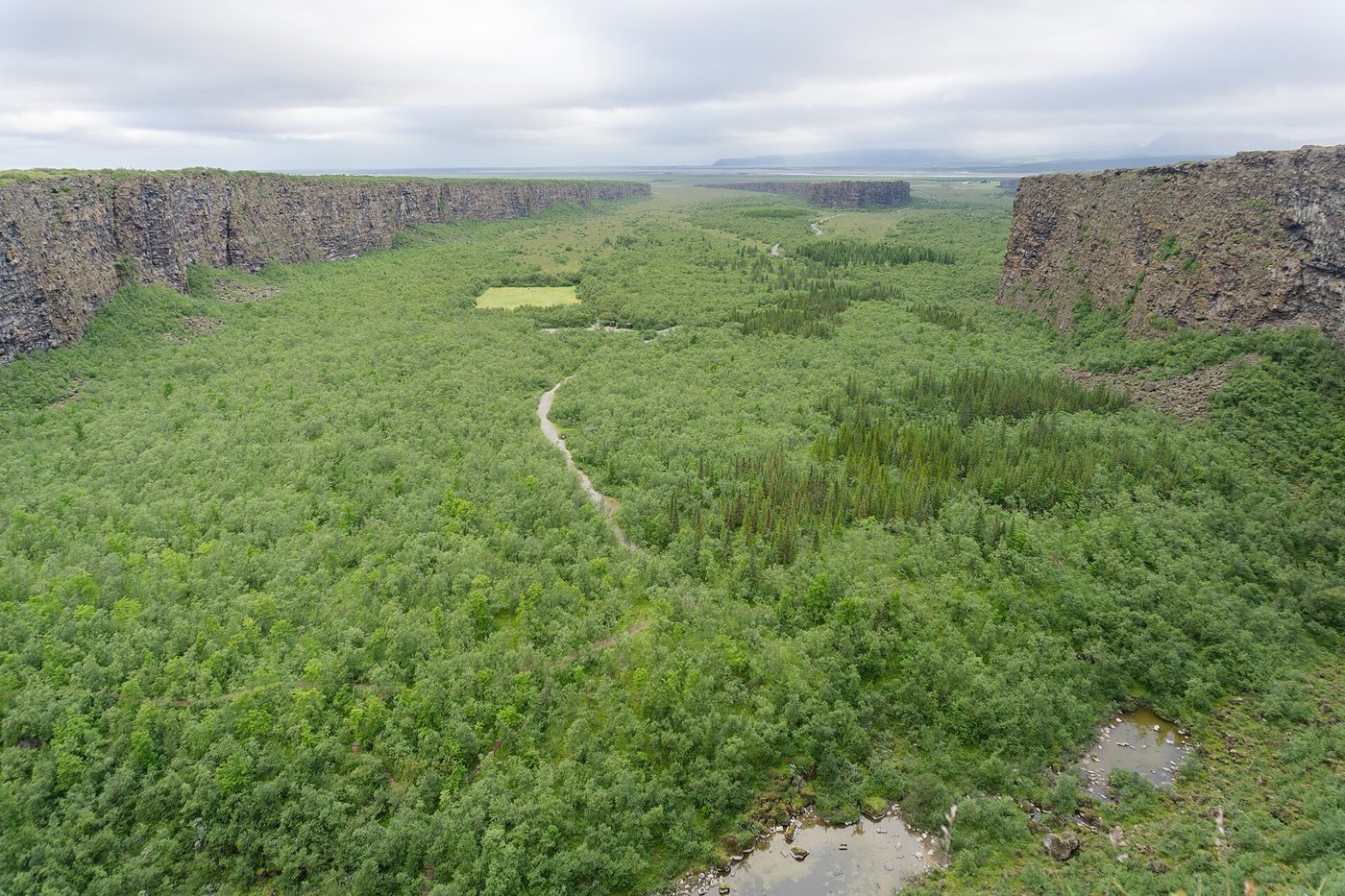 Ásbyrgi Canyon